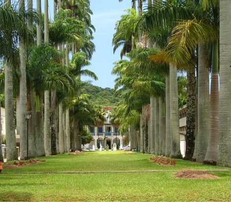 Maravilhas para conhecer na Angola na sua próxima viagem